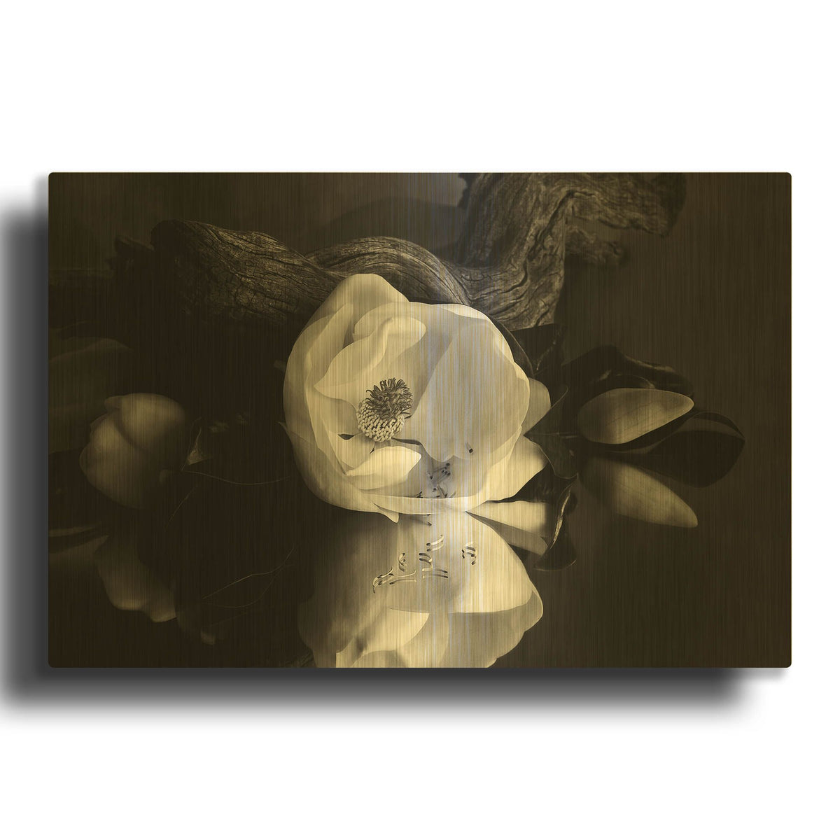 'Magnolia and Driftwood I' By Debra Van Swearingen Gold Metal Wall Art