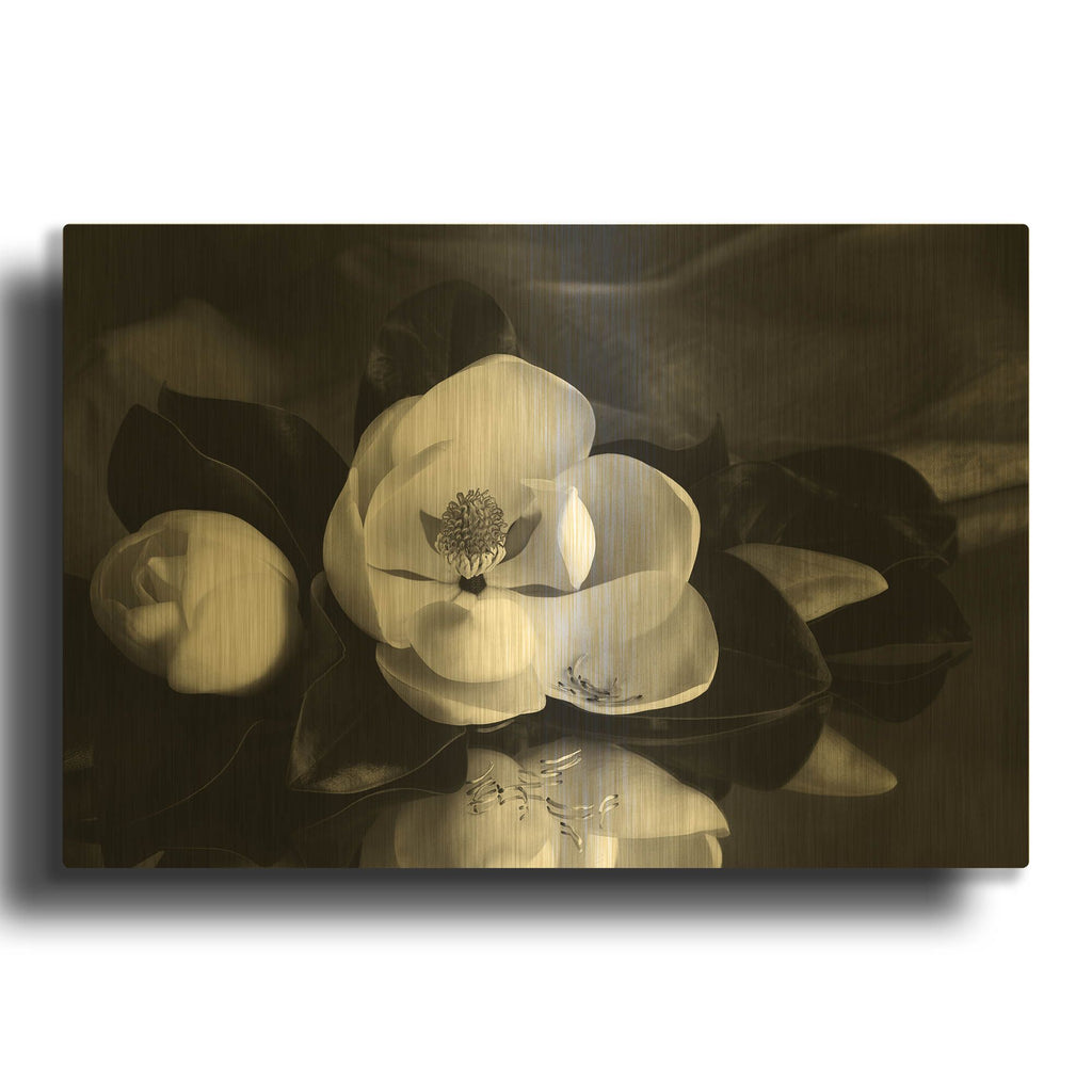 'Magnolia in Bloom' By Debra Van Swearingen Gold Metal Wall Art