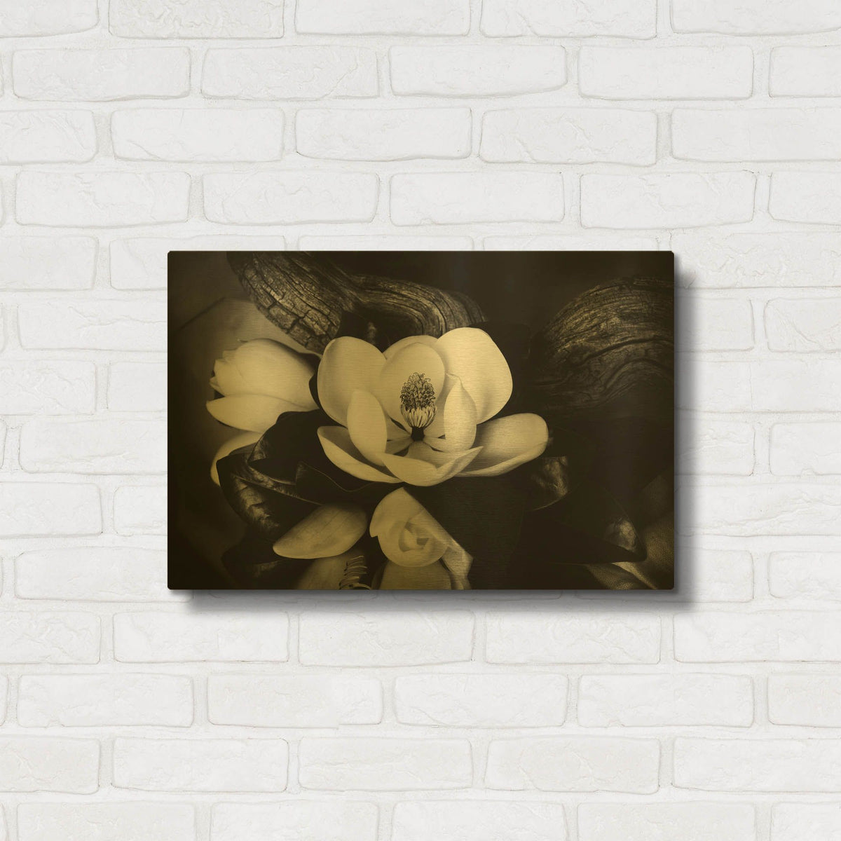 'Magnolia and Driftwood II' By Debra Van Swearingen Gold Metal Wall Art