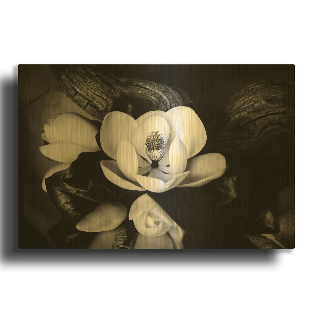 'Magnolia and Driftwood II' By Debra Van Swearingen Gold Metal Wall Art