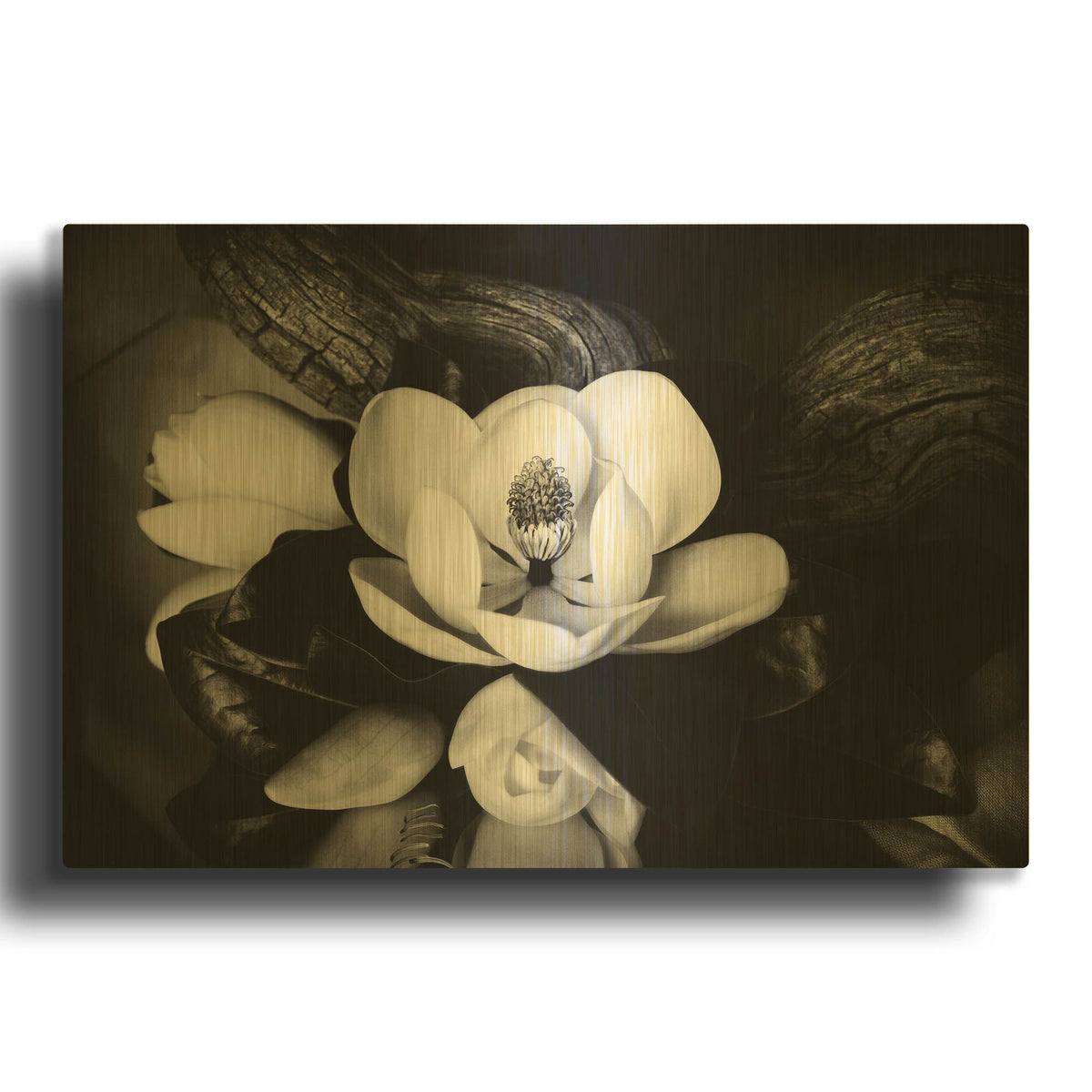'Magnolia and Driftwood II' By Debra Van Swearingen Gold Metal Wall Art