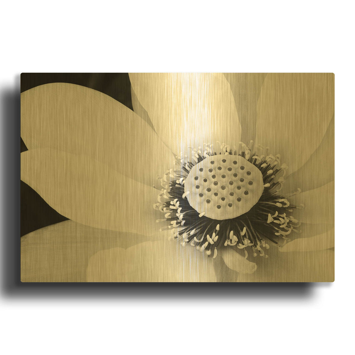 'Lotus Flower IV' By Debra Van Swearingen Gold Metal Wall Art