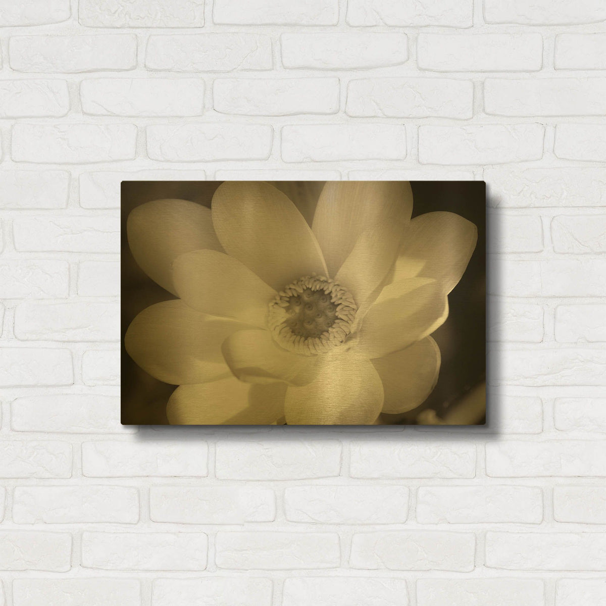 'Lotus Flower V' By Debra Van Swearingen Gold Metal Wall Art