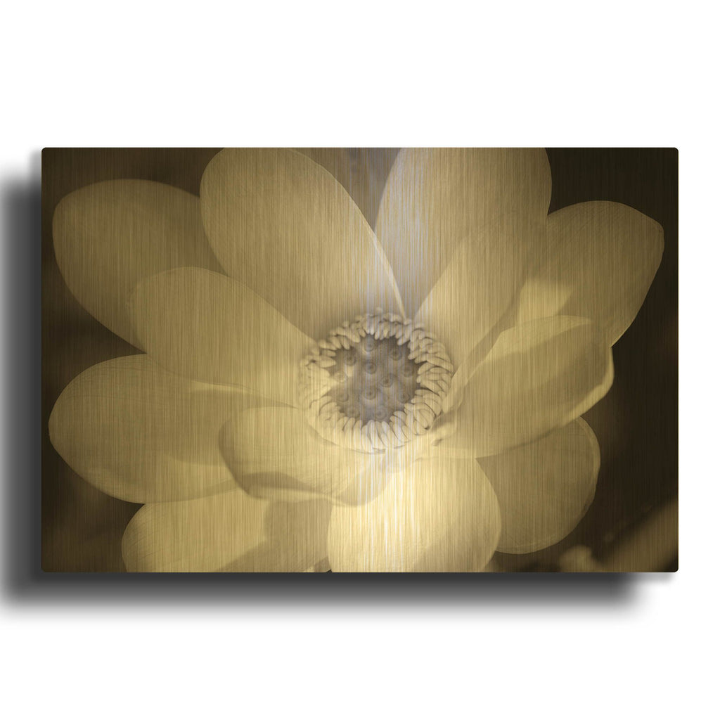 'Lotus Flower V' By Debra Van Swearingen Gold Metal Wall Art