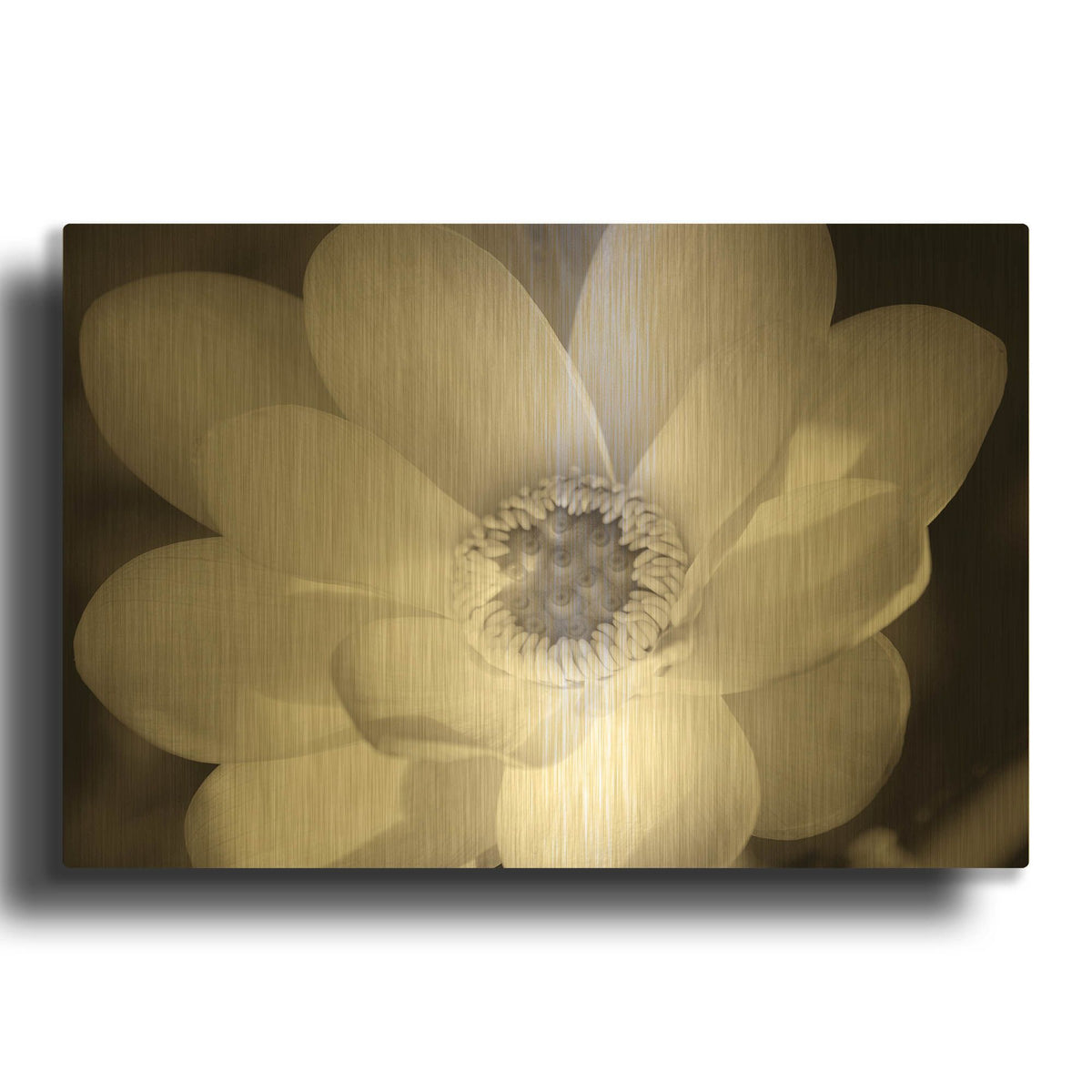 'Lotus Flower V' By Debra Van Swearingen Gold Metal Wall Art