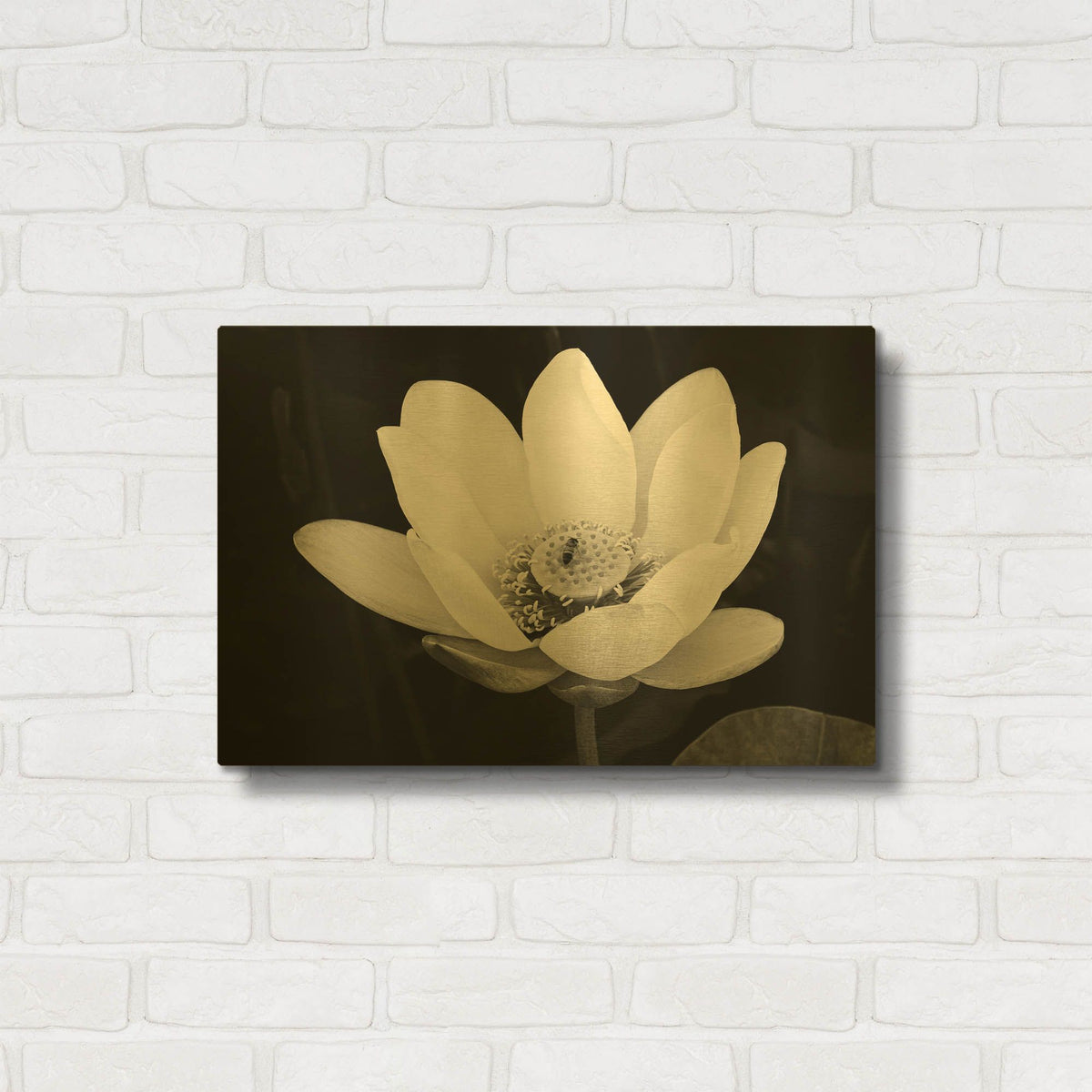 'Lotus Flower I v2' By Debra Van Swearingen Gold Metal Wall Art