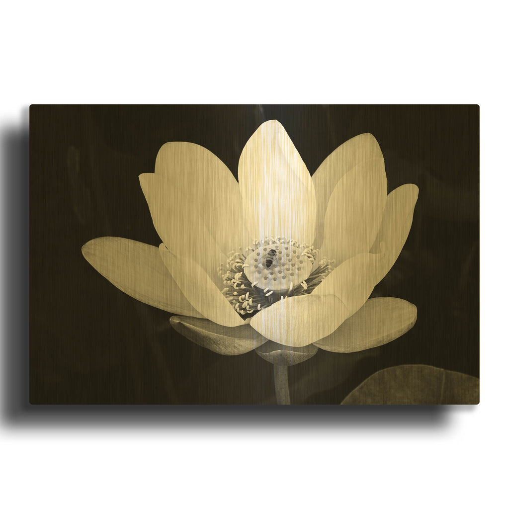 'Lotus Flower I v2' By Debra Van Swearingen Gold Metal Wall Art