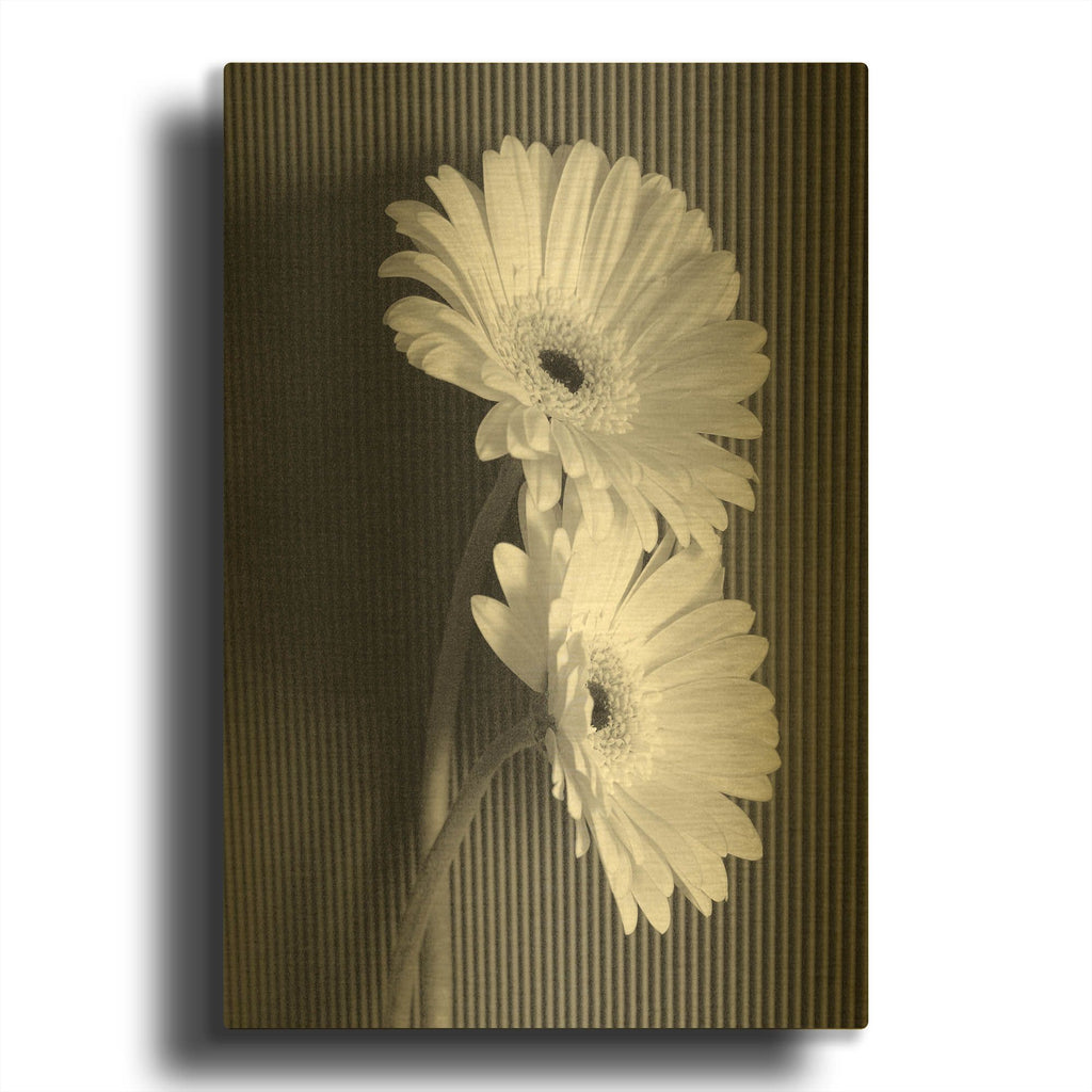 'Fresh Cut Daisy I' By Debra Van Swearingen Gold Metal Wall Art