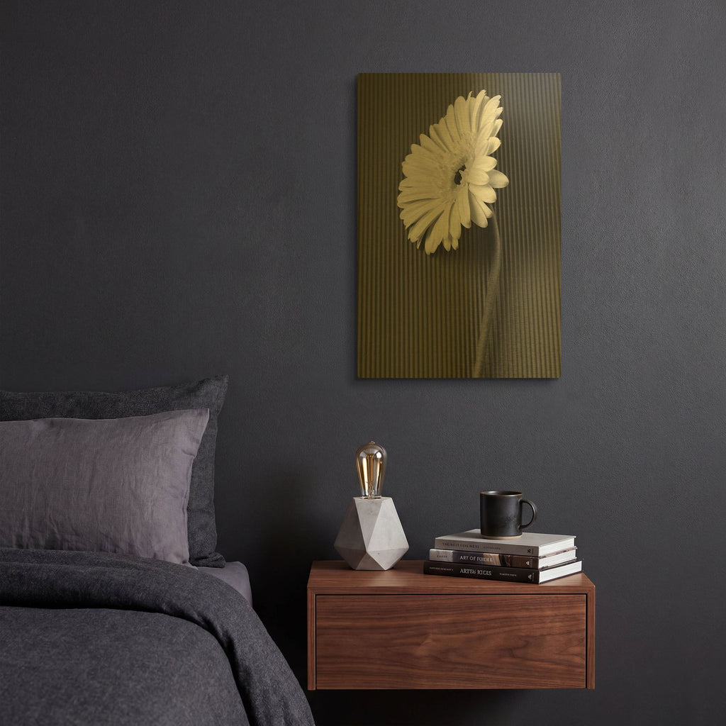 'Fresh Cut Daisy II' By Debra Van Swearingen Gold Metal Wall Art
