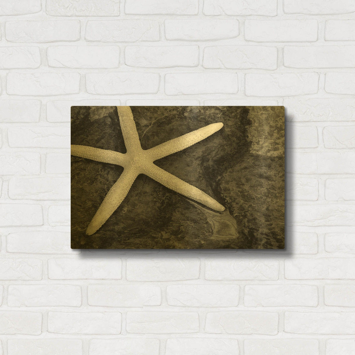 'Explore' By Debra Van Swearingen Gold Metal Wall Art