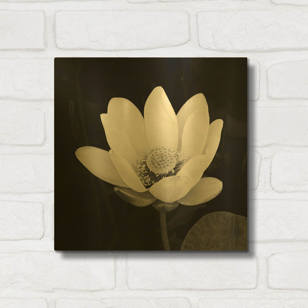 'Lotus Flower I' By Debra Van Swearingen Gold Metal Wall Art