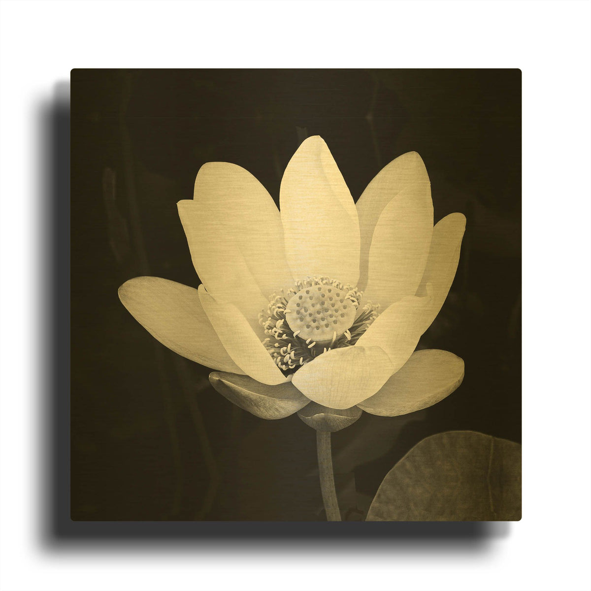 'Lotus Flower I' By Debra Van Swearingen Gold Metal Wall Art