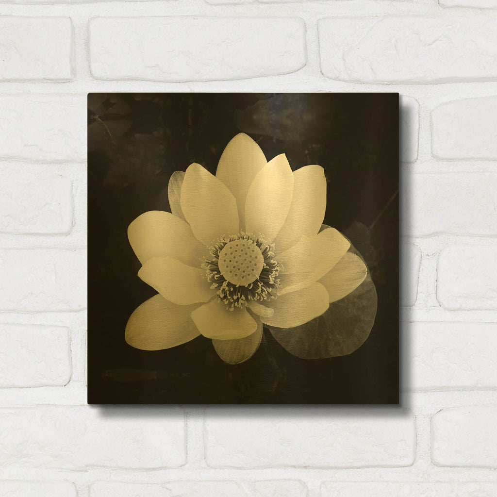 'Lotus Flower II' By Debra Van Swearingen Gold Metal Wall Art