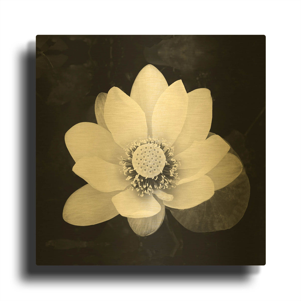 'Lotus Flower II' By Debra Van Swearingen Gold Metal Wall Art