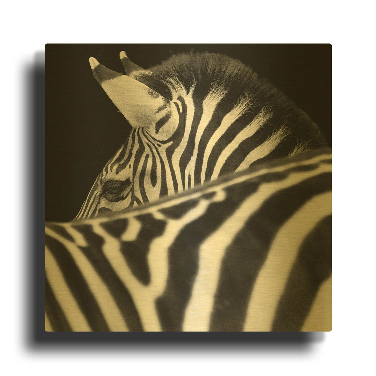 'Zebra III' By Debra Van Swearingen Gold Metal Wall Art