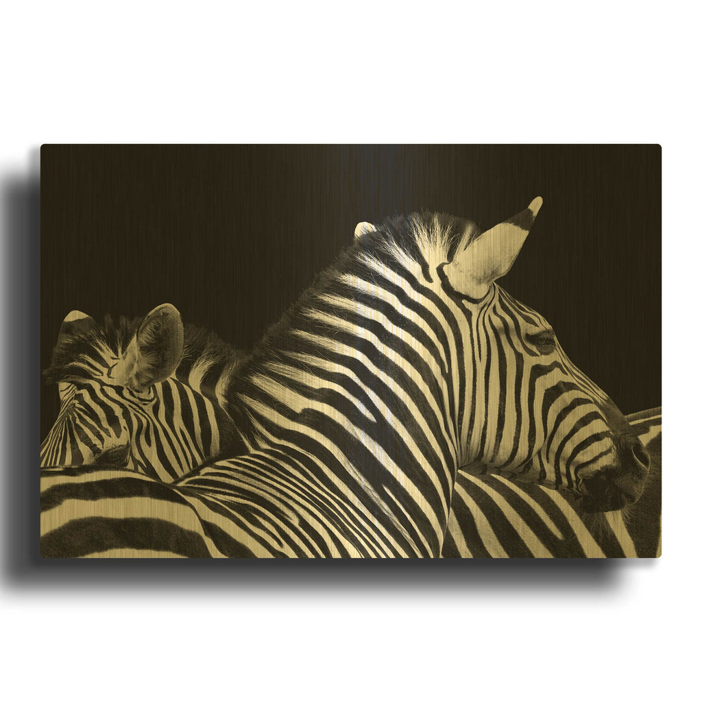 'Zebra I' By Debra Van Swearingen Gold Metal Wall Art