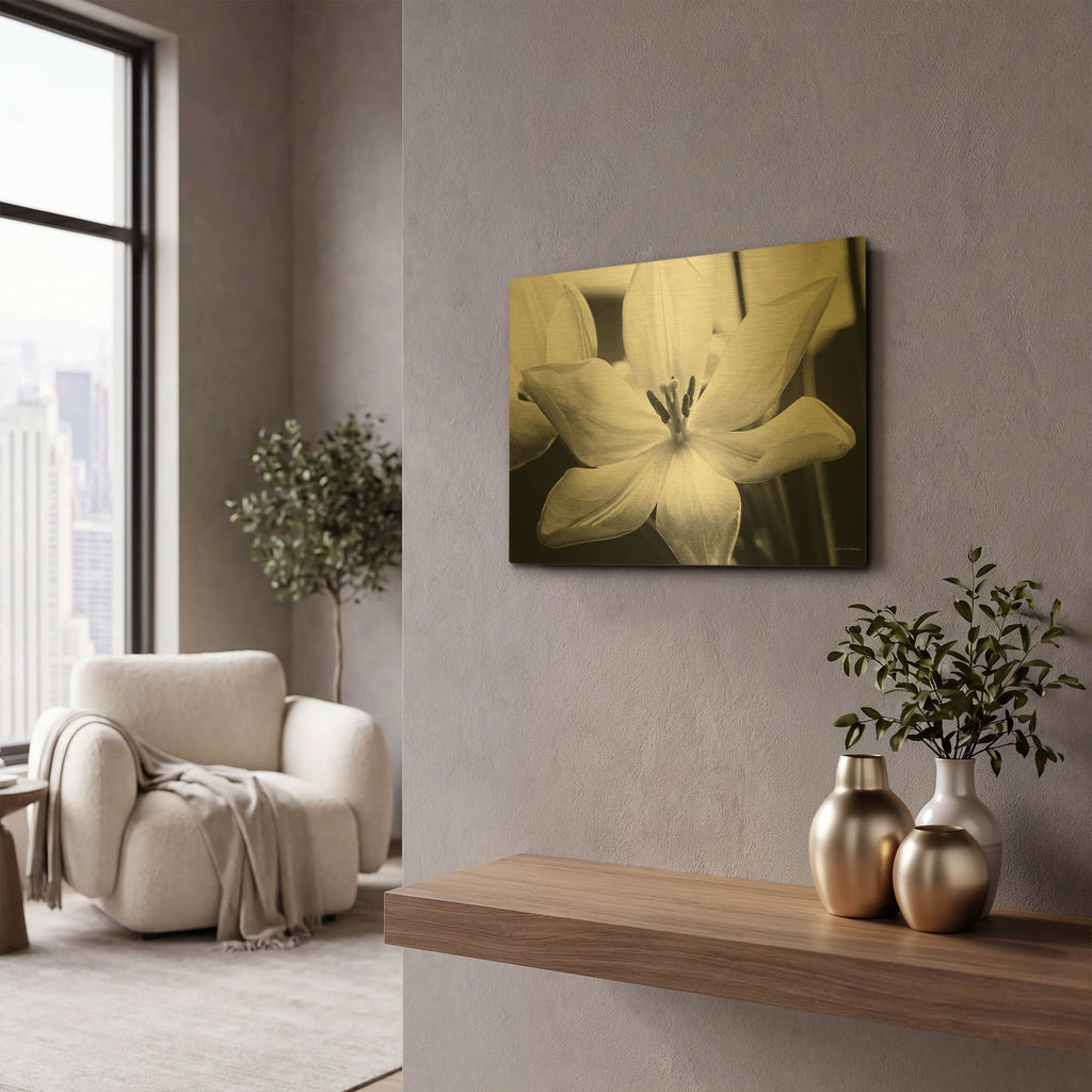 'Translucent Tulips IV' By Debra Van Swearingen Gold Metal Wall Art