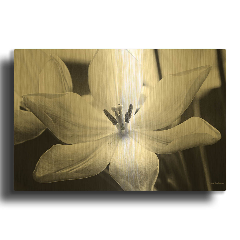 'Translucent Tulips IV' By Debra Van Swearingen Gold Metal Wall Art