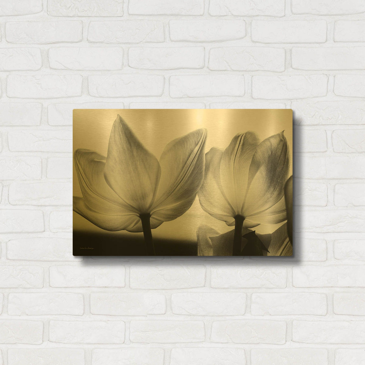 'Translucent Tulips V' By Debra Van Swearingen Gold Metal Wall Art