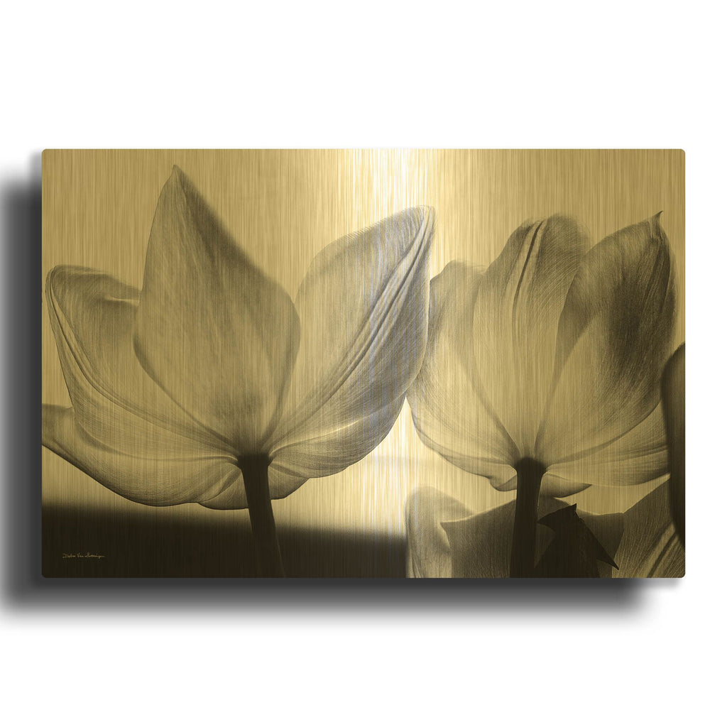 'Translucent Tulips V' By Debra Van Swearingen Gold Metal Wall Art
