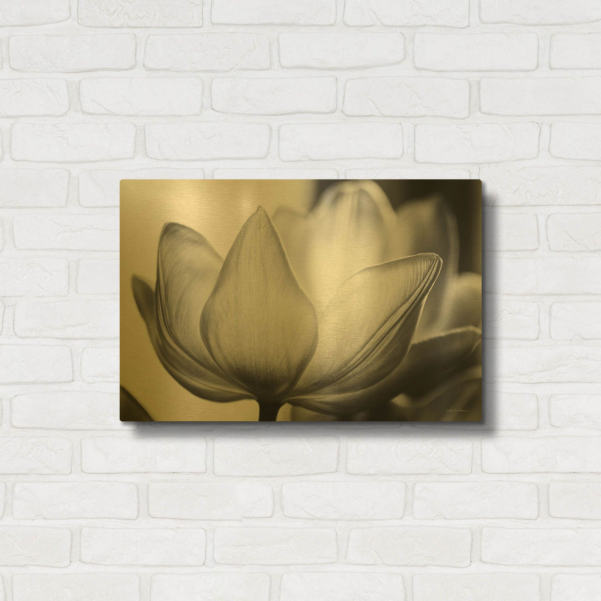 'Translucent Tulips VI' By Debra Van Swearingen Gold Metal Wall Art