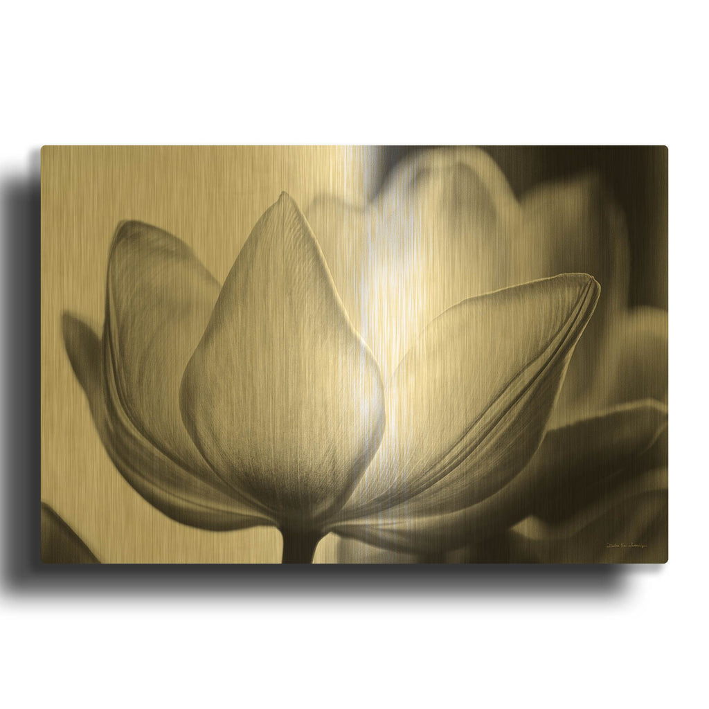 'Translucent Tulips VI' By Debra Van Swearingen Gold Metal Wall Art