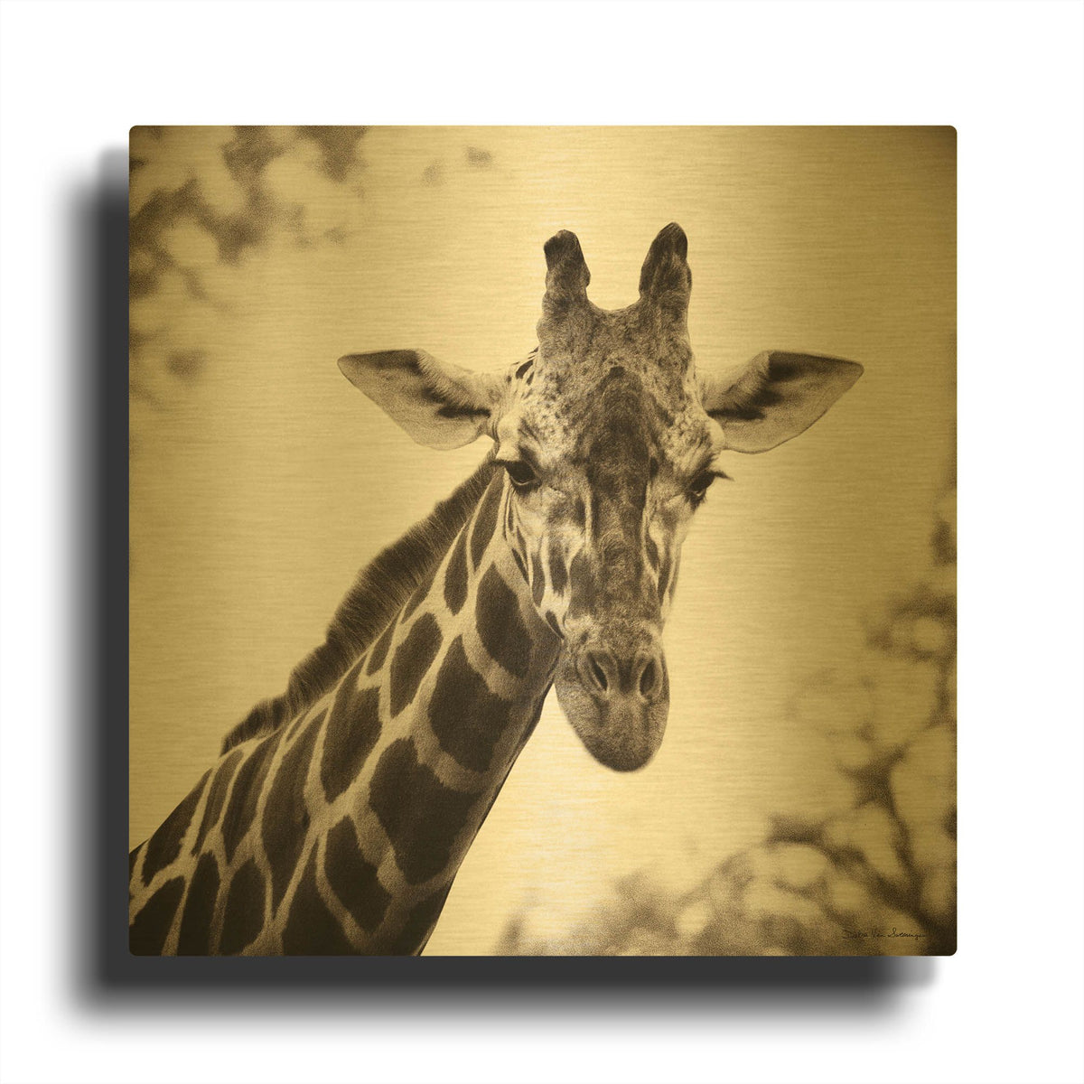 'Giraffe I' By Debra Van Swearingen Gold Metal Wall Art