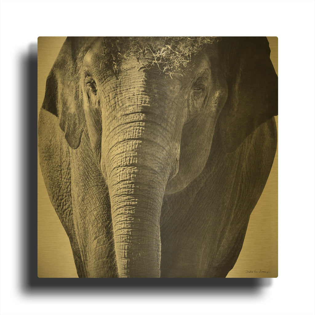 'Elephant I' By Debra Van Swearingen Gold Metal Wall Art