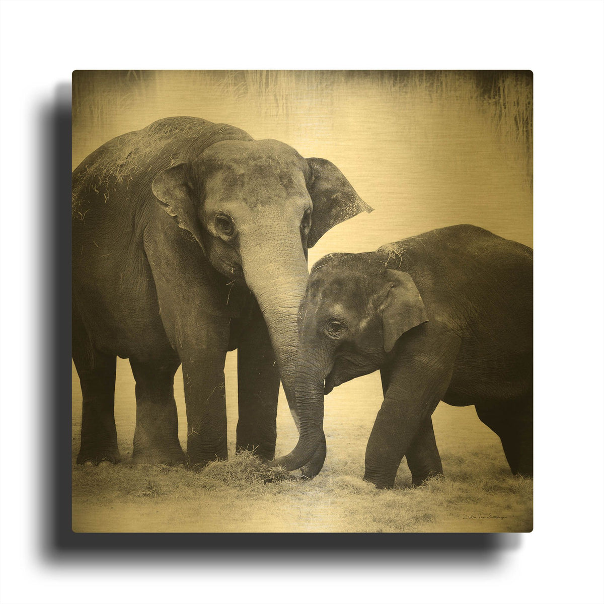 'Elephant III' By Debra Van Swearingen Gold Metal Wall Art