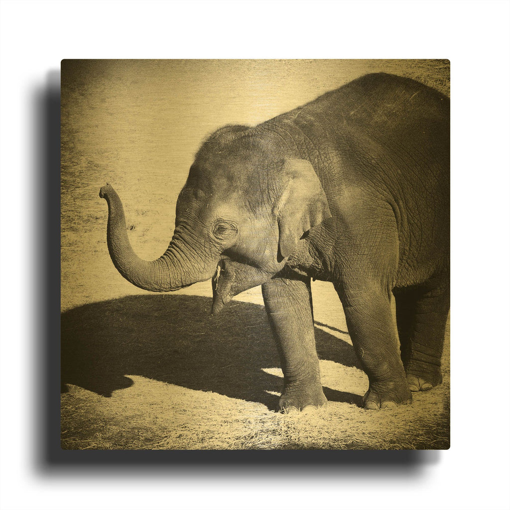 'Elephant IV' By Debra Van Swearingen Gold Metal Wall Art