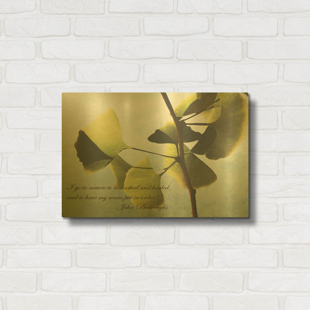 'Delicate Ginkgo' By Debra Van Swearingen Gold Metal Wall Art