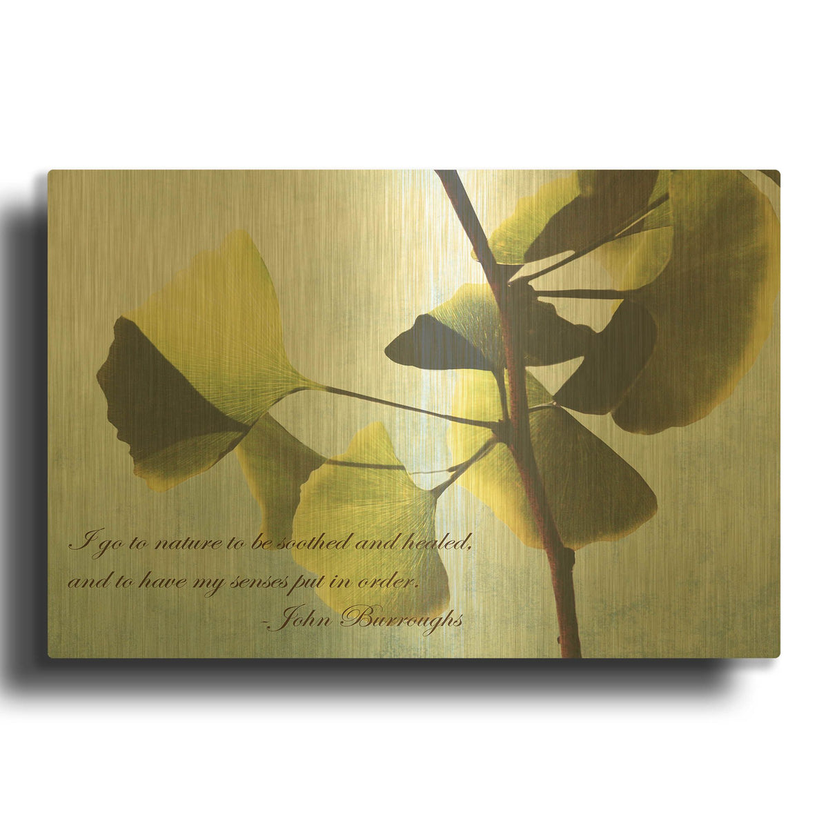 'Delicate Ginkgo' By Debra Van Swearingen Gold Metal Wall Art