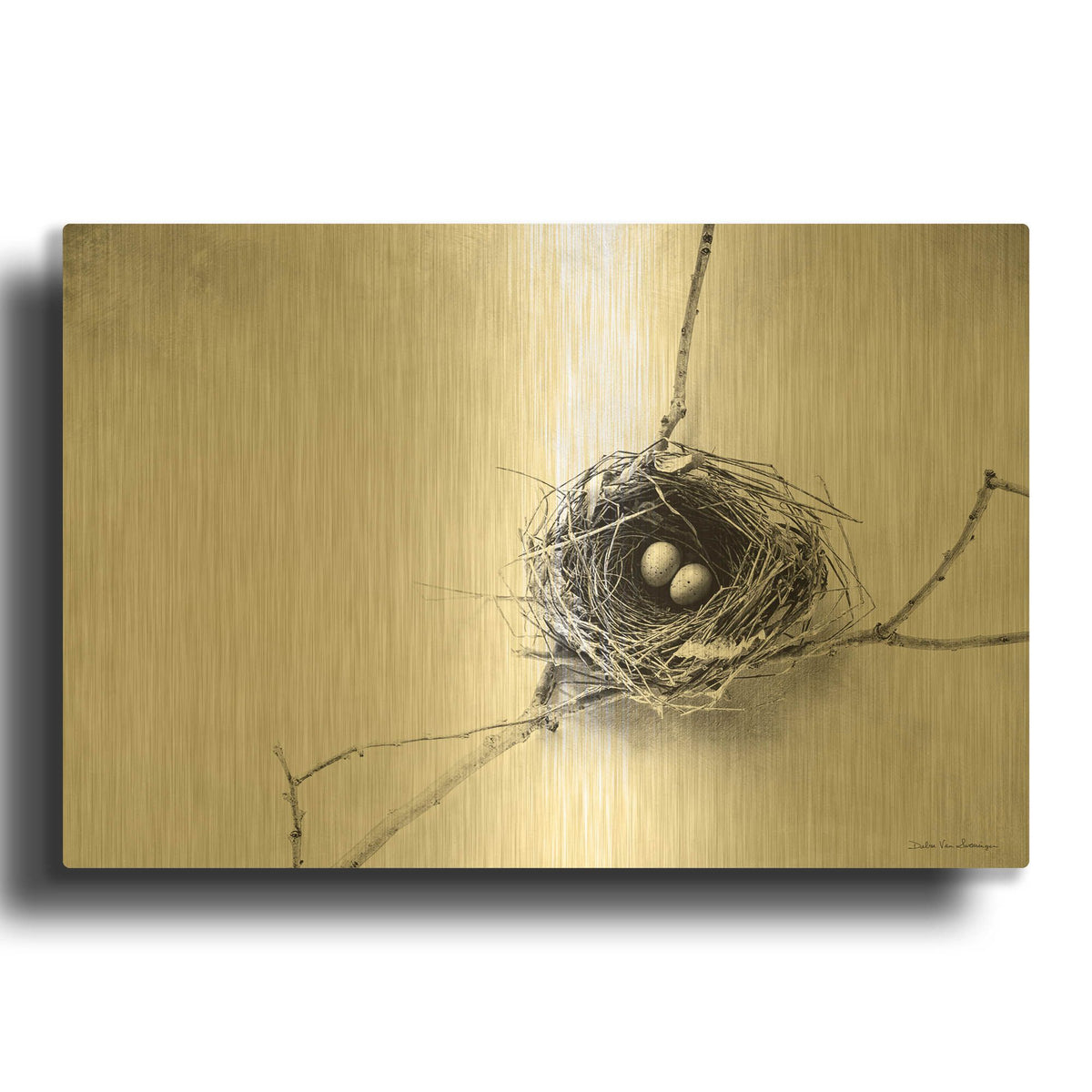 'Nest and Branch IV' By Debra Van Swearingen Gold Metal Wall Art