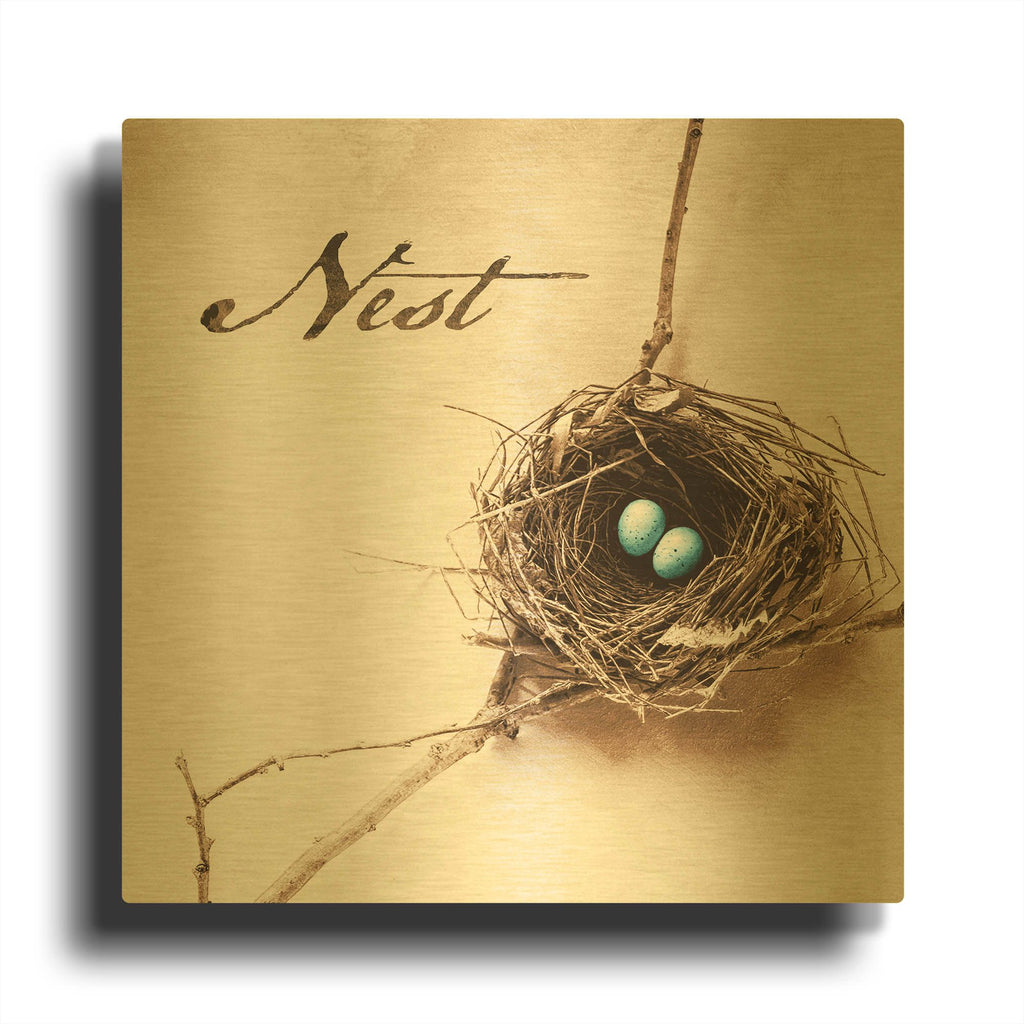 'Nest and Branch IV - Nest' By Debra Van Swearingen Gold Metal Wall Art