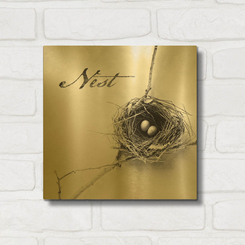 'Nest and Branch IV - Nest B&W' By Debra Van Swearingen Gold Metal Wall Art