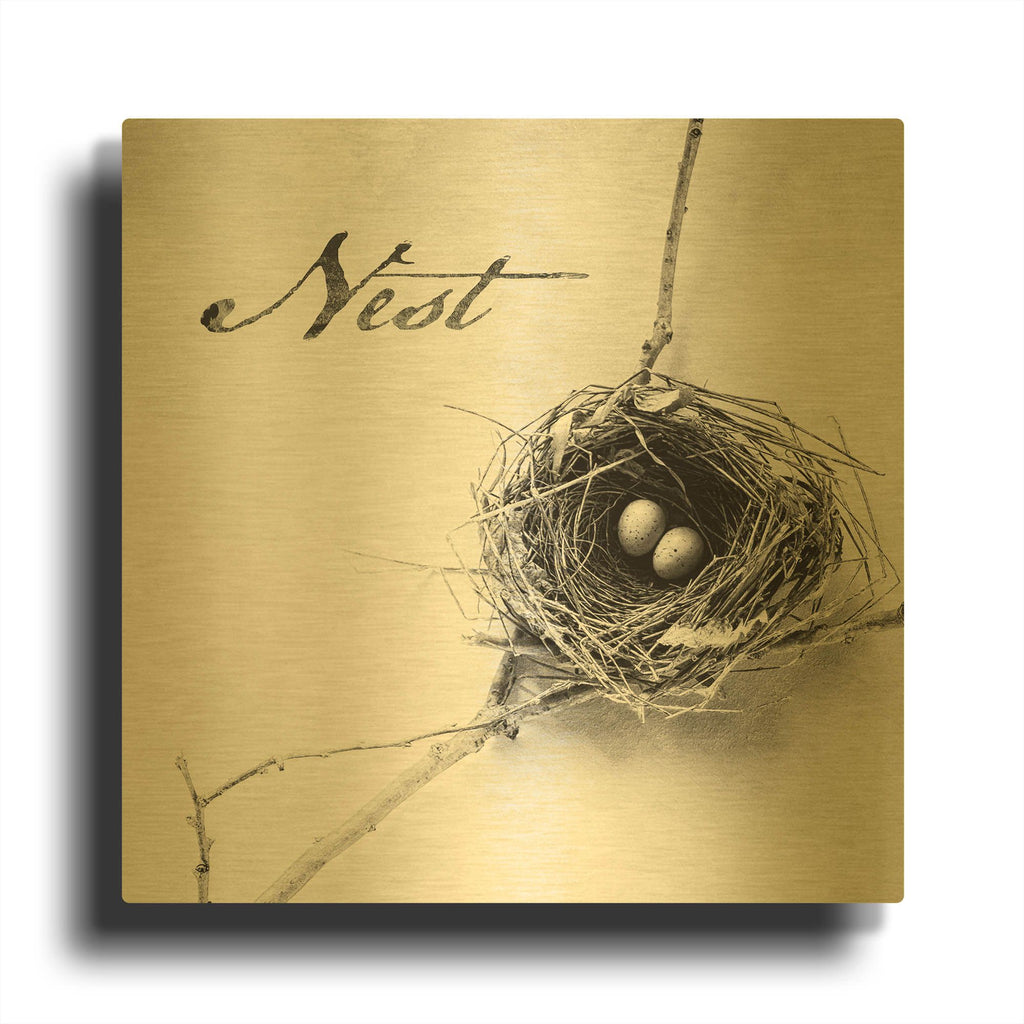 'Nest and Branch IV - Nest B&W' By Debra Van Swearingen Gold Metal Wall Art
