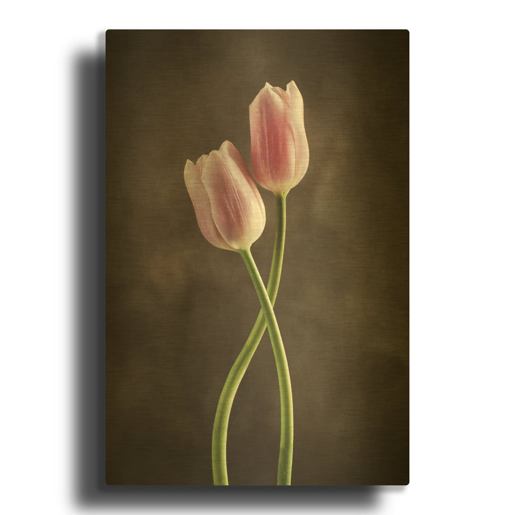 'Spring Tulips V' By Debra Van Swearingen Gold Metal Wall Art