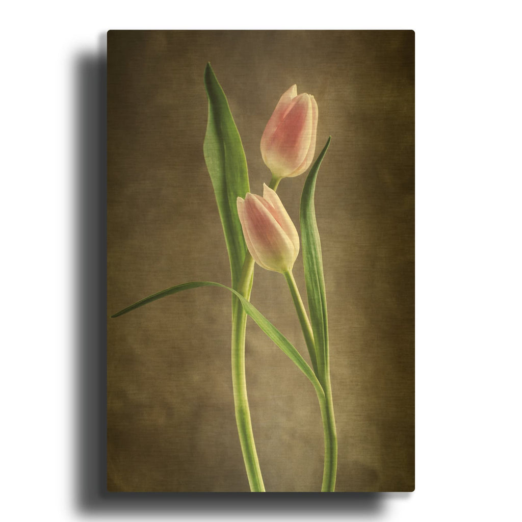 'Spring Tulips VI' By Debra Van Swearingen Gold Metal Wall Art
