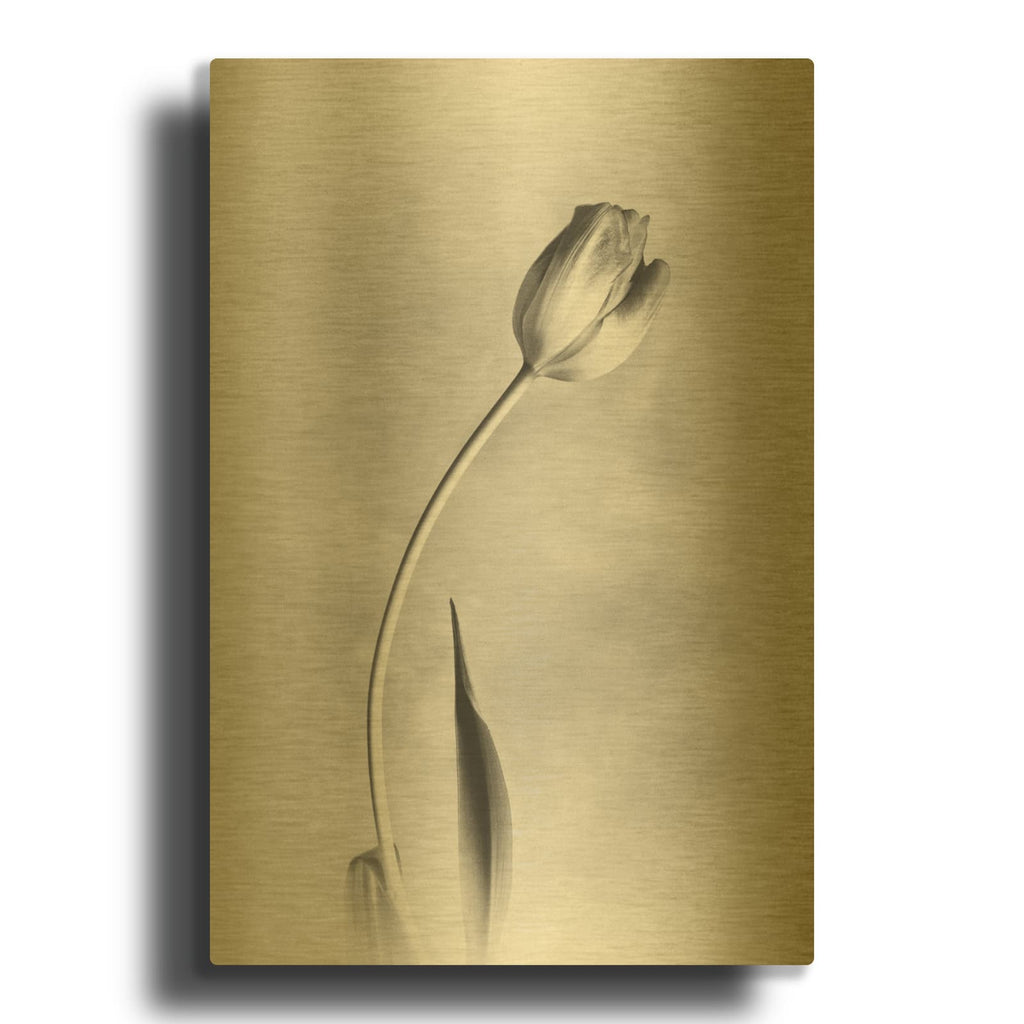 'Soft Tulips I' By Debra Van Swearingen Gold Metal Wall Art