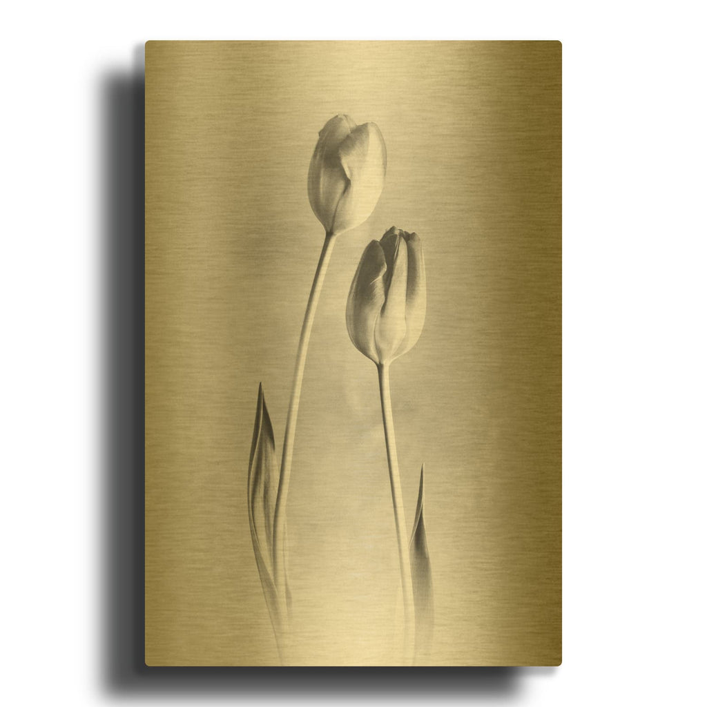 'Soft Tulips III' By Debra Van Swearingen Gold Metal Wall Art