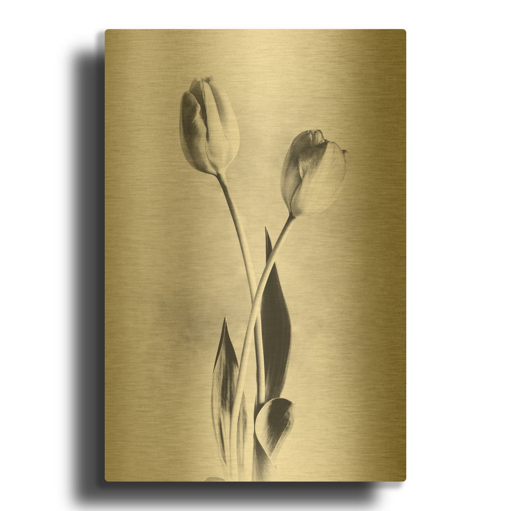 'Soft Tulips IV' By Debra Van Swearingen Gold Metal Wall Art