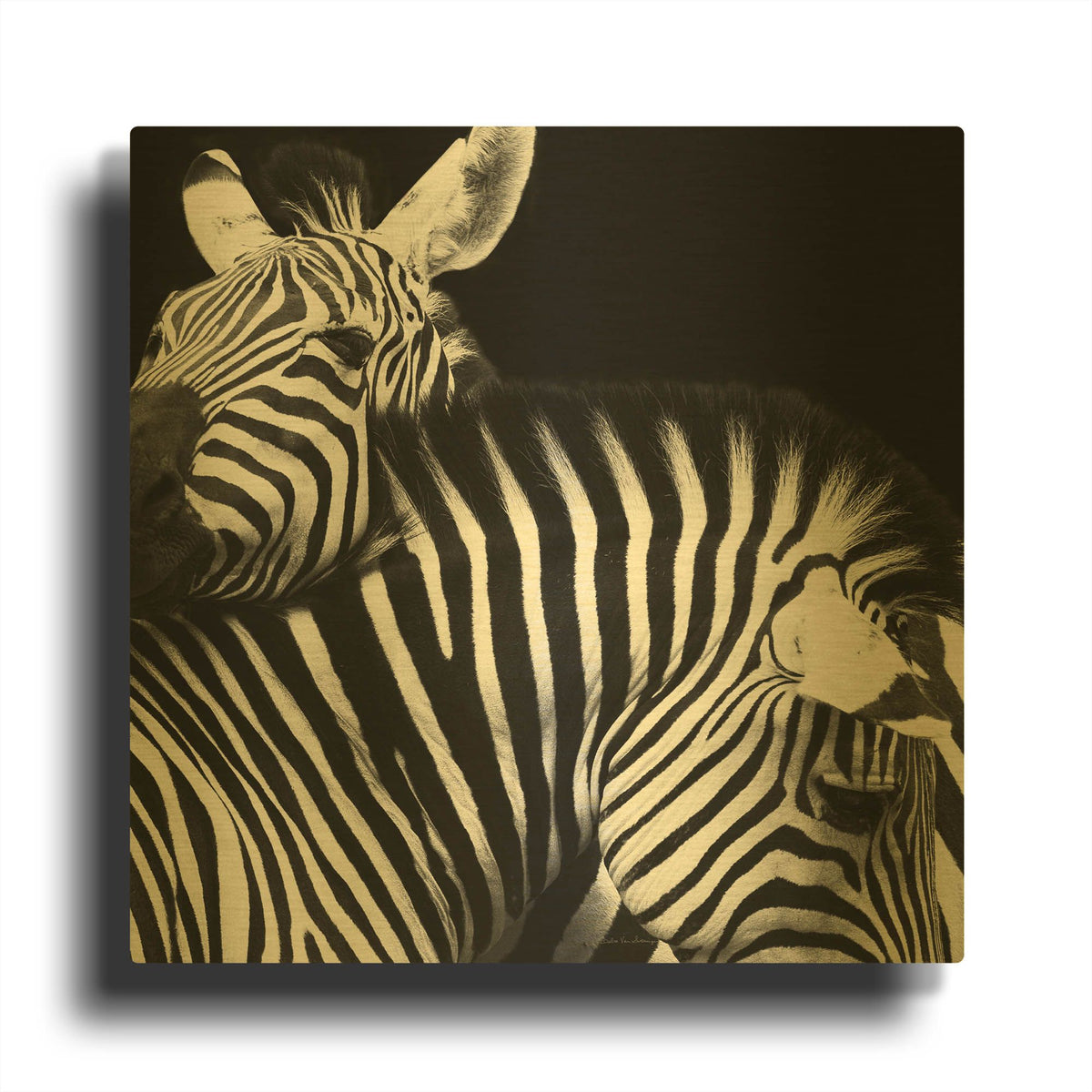 'Zebra VI' By Debra Van Swearingen Gold Metal Wall Art