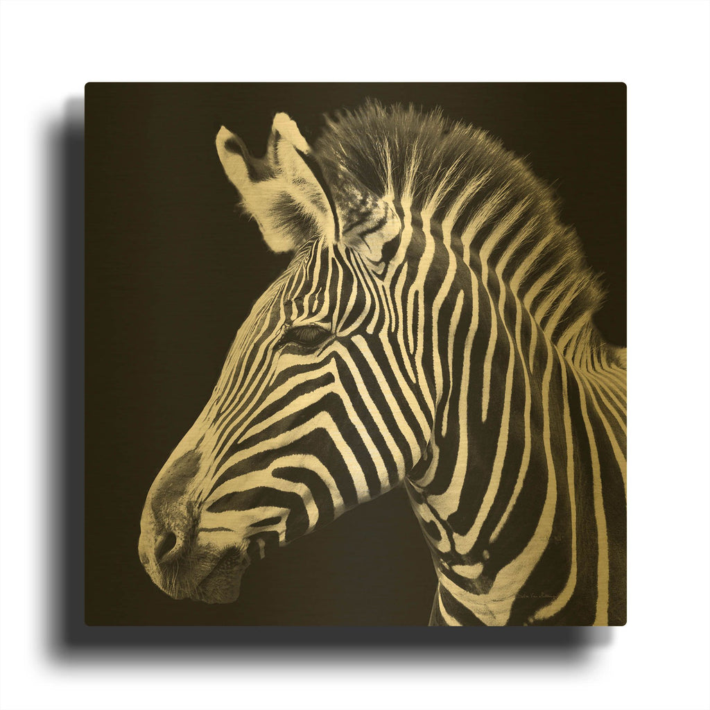 'Zebra VII' By Debra Van Swearingen Gold Metal Wall Art