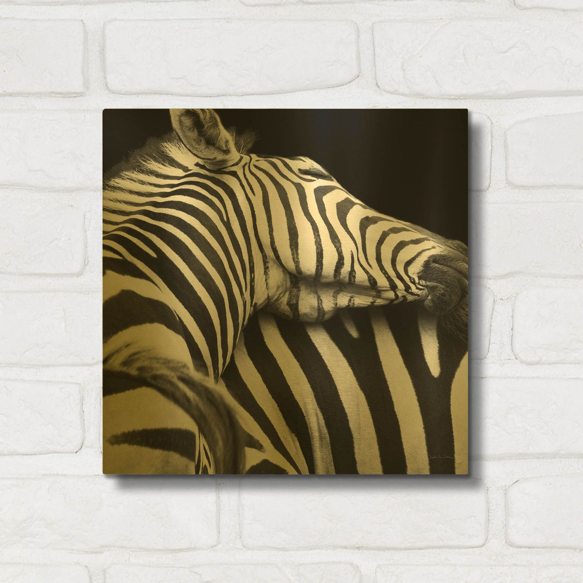 'Zebra VIII' By Debra Van Swearingen Gold Metal Wall Art