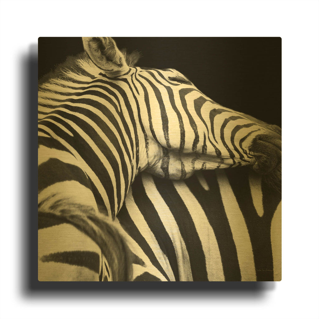 'Zebra VIII' By Debra Van Swearingen Gold Metal Wall Art