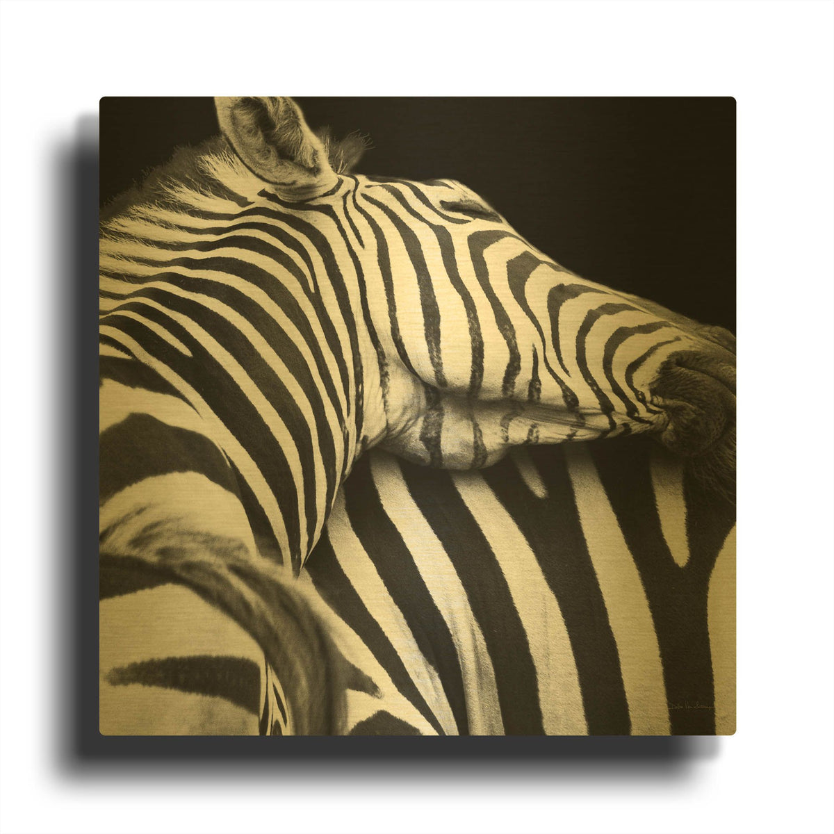 'Zebra VIII' By Debra Van Swearingen Gold Metal Wall Art