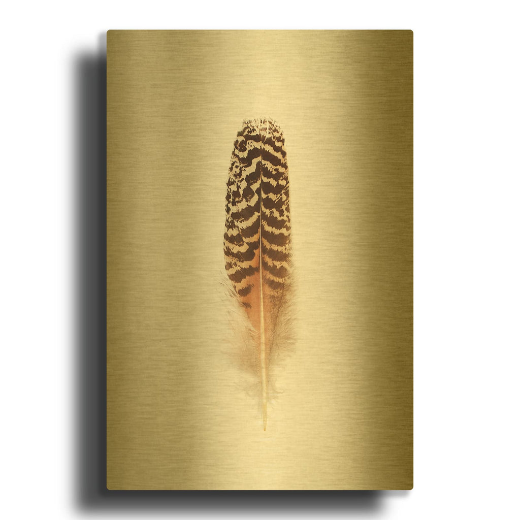 'Feather I' By Debra Van Swearingen Gold Metal Wall Art