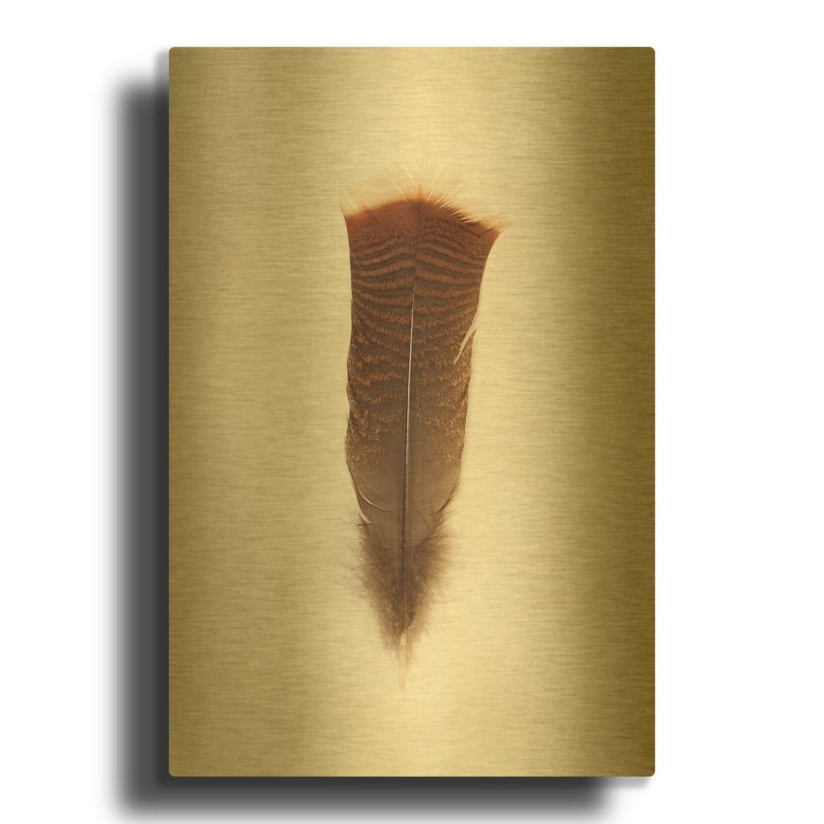 'Feather III' By Debra Van Swearingen Gold Metal Wall Art