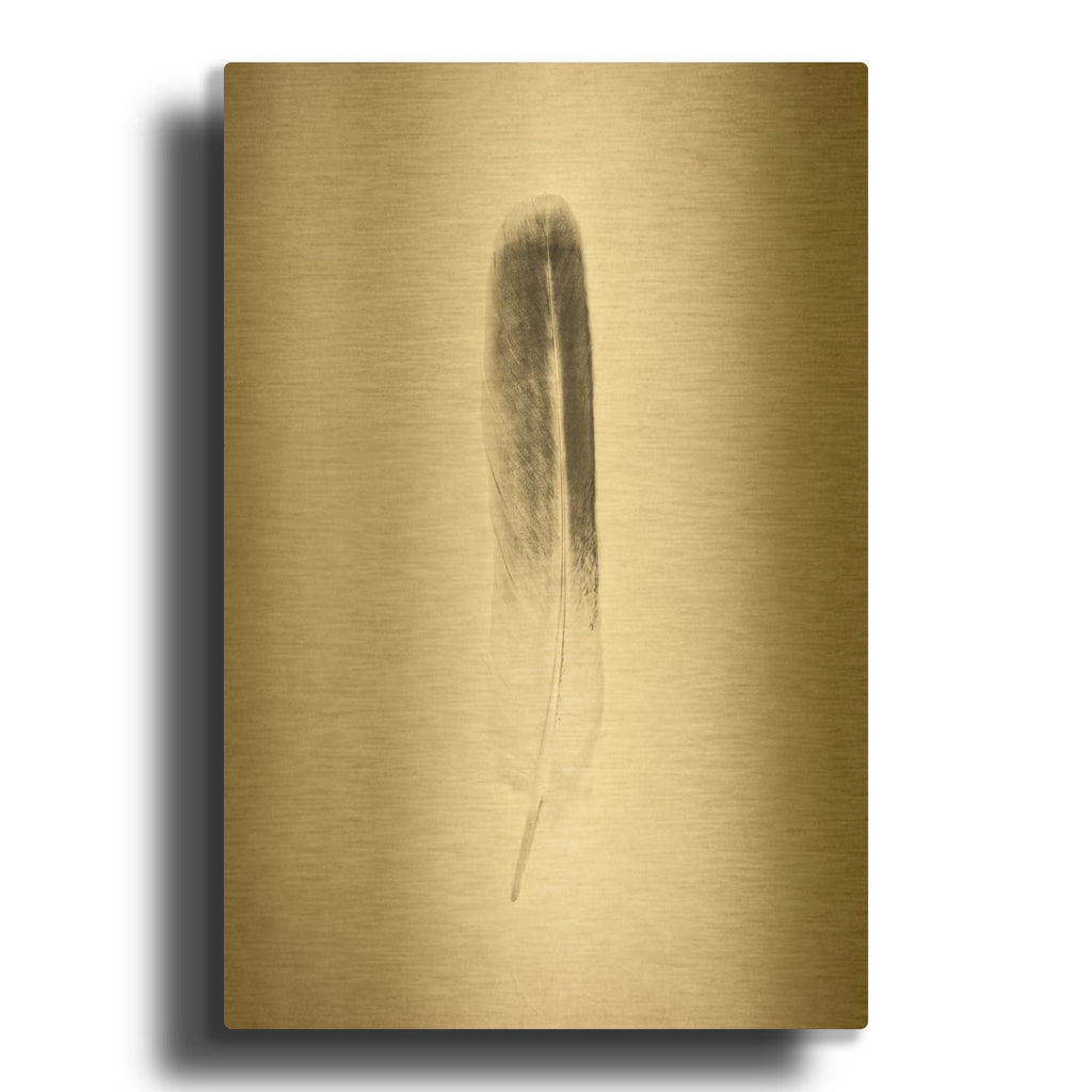 'Feather II B&W' By Debra Van Swearingen Gold Metal Wall Art