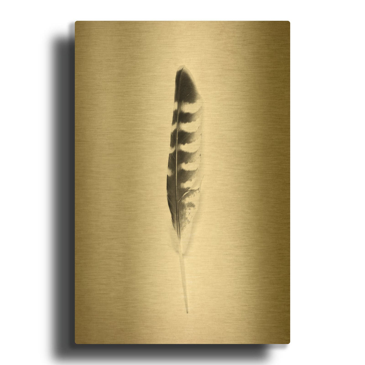 'Feather IV B&W' By Debra Van Swearingen Gold Metal Wall Art